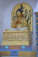 The Buddha - Shanti Stupa